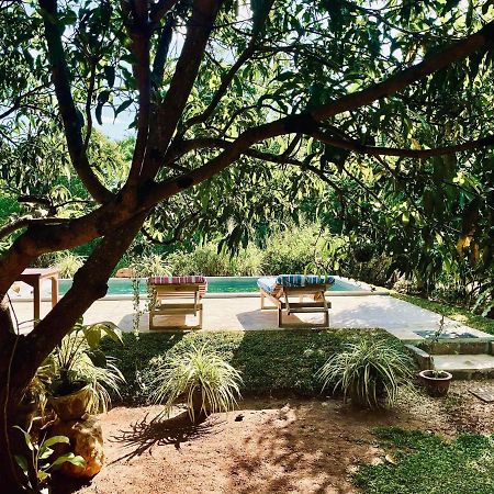 Shan Mango Homestay Sigiriya Exterior foto
