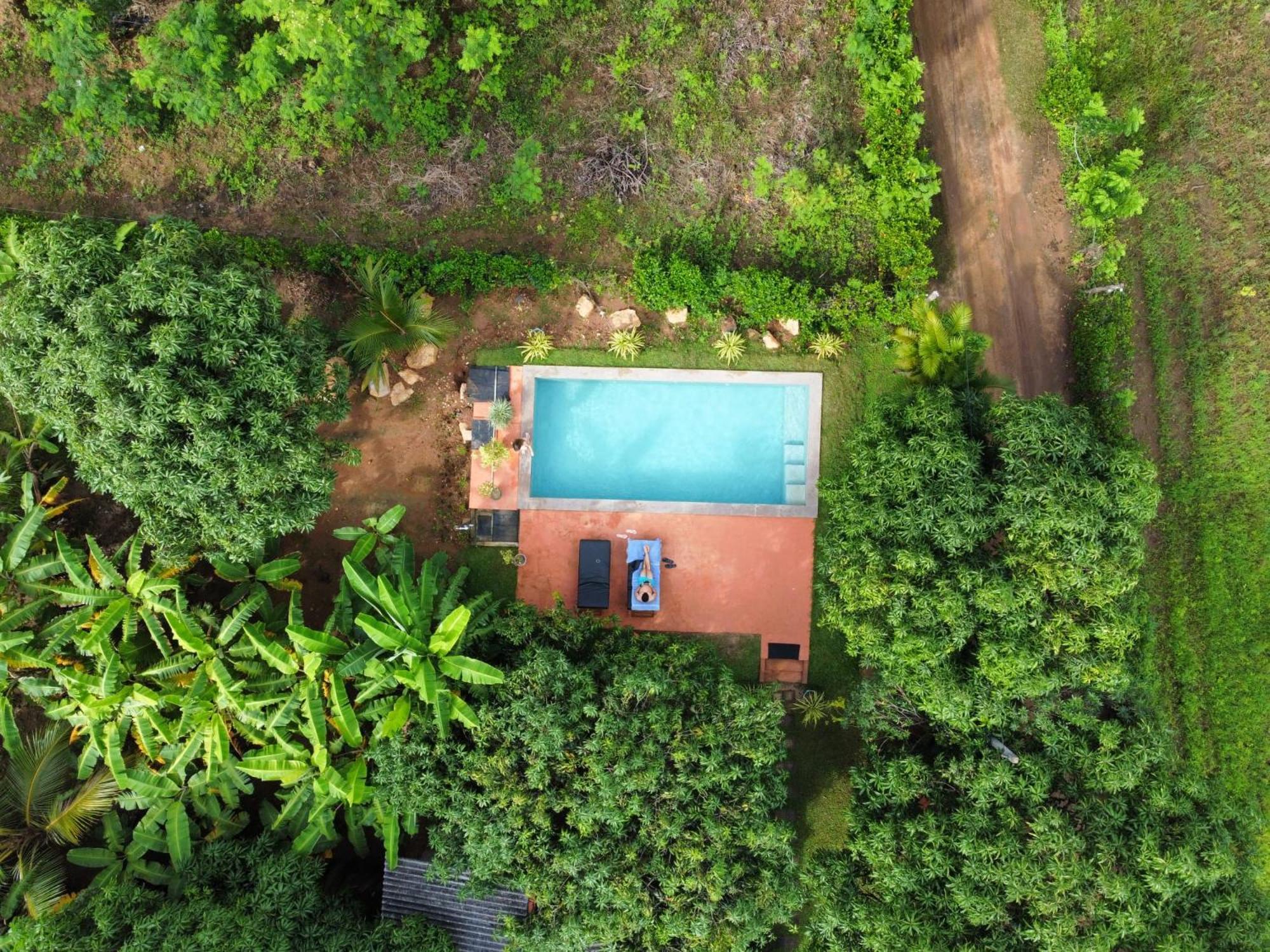 Shan Mango Homestay Sigiriya Exterior foto